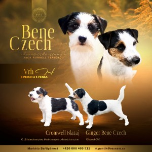 beneczech.jpg